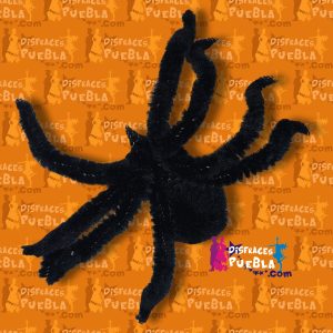 Araña Peluda Chica
